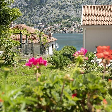 Muo Sea Front Apartments Kotor Kültér fotó