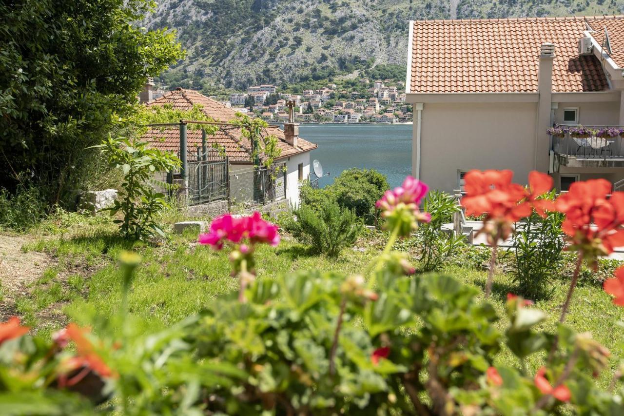 Muo Sea Front Apartments Kotor Kültér fotó
